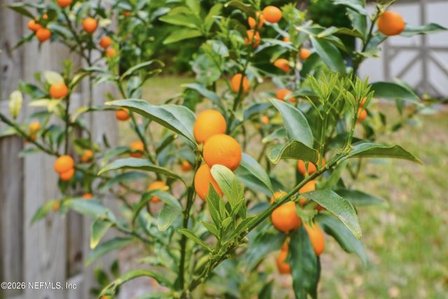 12852 LONGVIEW Drive W, Jacksonville, FL 32223