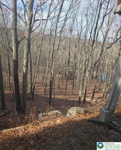 1107 Hampstead Court, Lehman Twp, PA 18324