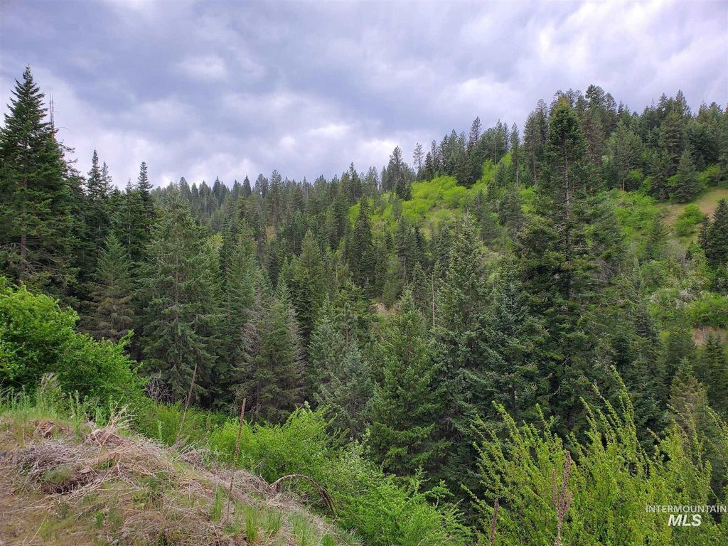 TBD Clearwater Rd, Stites, ID 83552