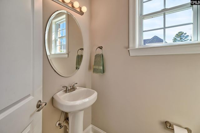 278 Pintail Lake Drive, Gilbert, SC 29054