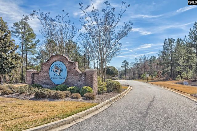 278 Pintail Lake Drive, Gilbert, SC 29054