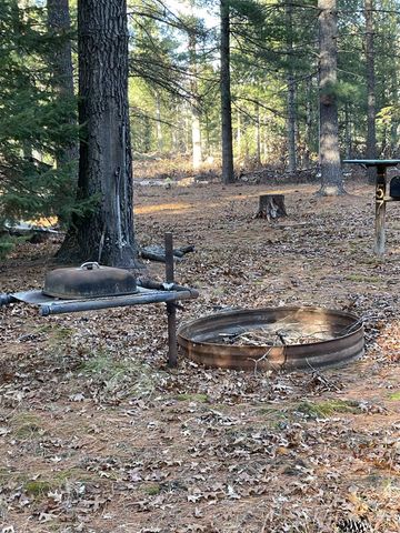 57 E Boehm Road, Mills Twp, MI 48661