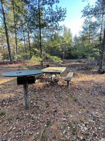 57 E Boehm Road, Mills Twp, MI 48661