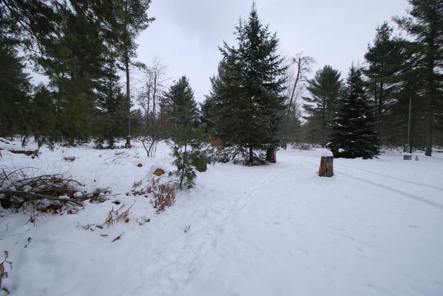 57 E Boehm Road, Mills Twp, MI 48661