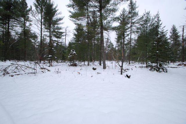 57 E Boehm Road, Mills Twp, MI 48661