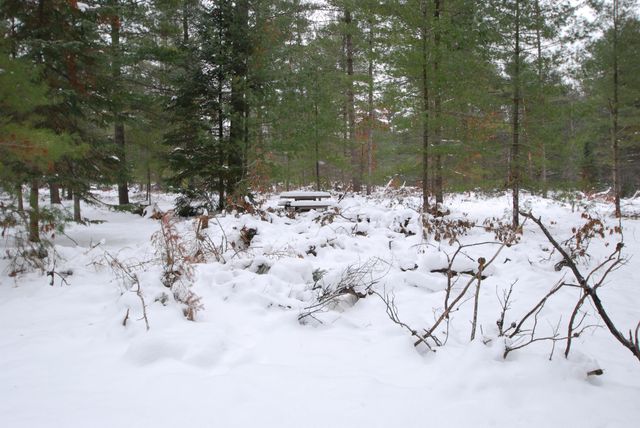 57 E Boehm Road, Mills Twp, MI 48661