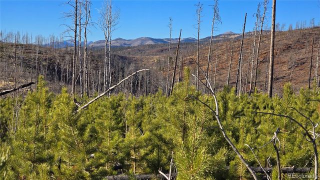 Lot 1505 Von Hyle Lane, Fort Garland, CO 81133