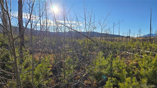 Lot 1505 Von Hyle Lane, Fort Garland, CO 81133