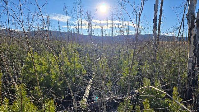 Lot 1505 Von Hyle Lane, Fort Garland, CO 81133