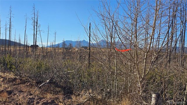 Lot 1505 Von Hyle Lane, Fort Garland, CO 81133