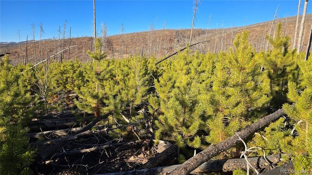 Lot 1505 Von Hyle Lane, Fort Garland, CO 81133
