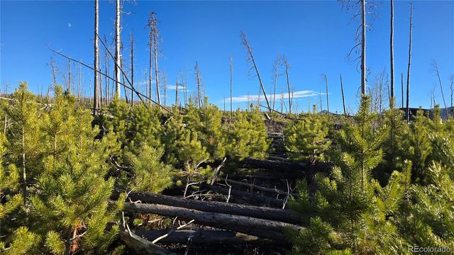 Lot 1505 Von Hyle Lane, Fort Garland, CO 81133