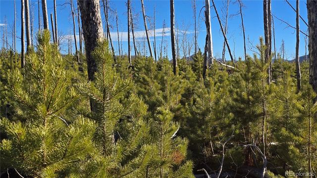 Lot 1505 Von Hyle Lane, Fort Garland, CO 81133