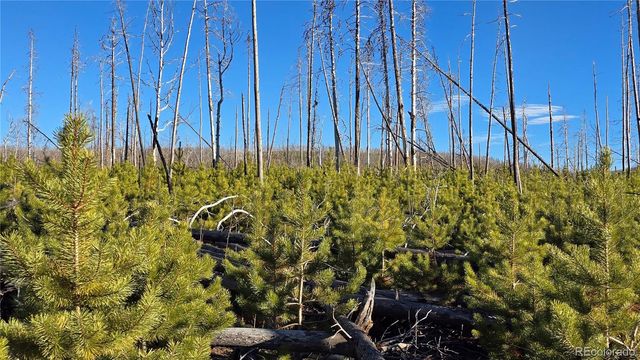 Lot 1505 Von Hyle Lane, Fort Garland, CO 81133