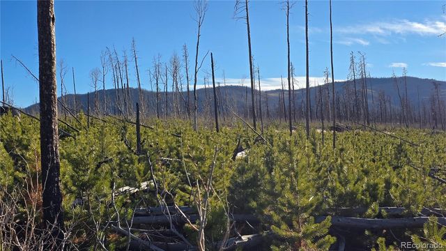 Lot 1505 Von Hyle Lane, Fort Garland, CO 81133