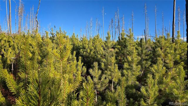 Lot 1505 Von Hyle Lane, Fort Garland, CO 81133