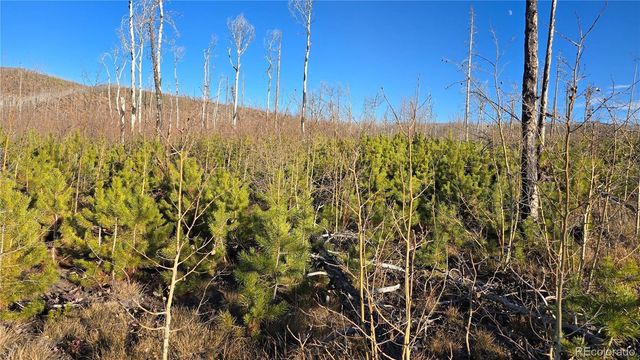 Lot 1505 Von Hyle Lane, Fort Garland, CO 81133