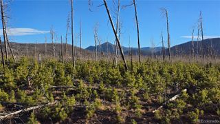 Lot 1505 Von Hyle Lane, Fort Garland, CO 81133