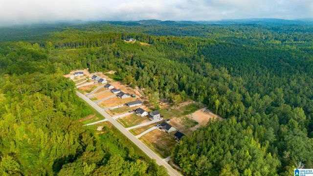 234 COUNTY ROAD 13, Heflin, AL 36264