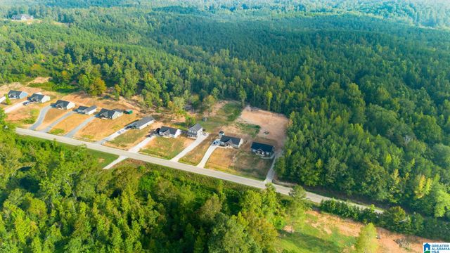 234 COUNTY ROAD 13, Heflin, AL 36264