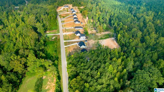 234 COUNTY ROAD 13, Heflin, AL 36264