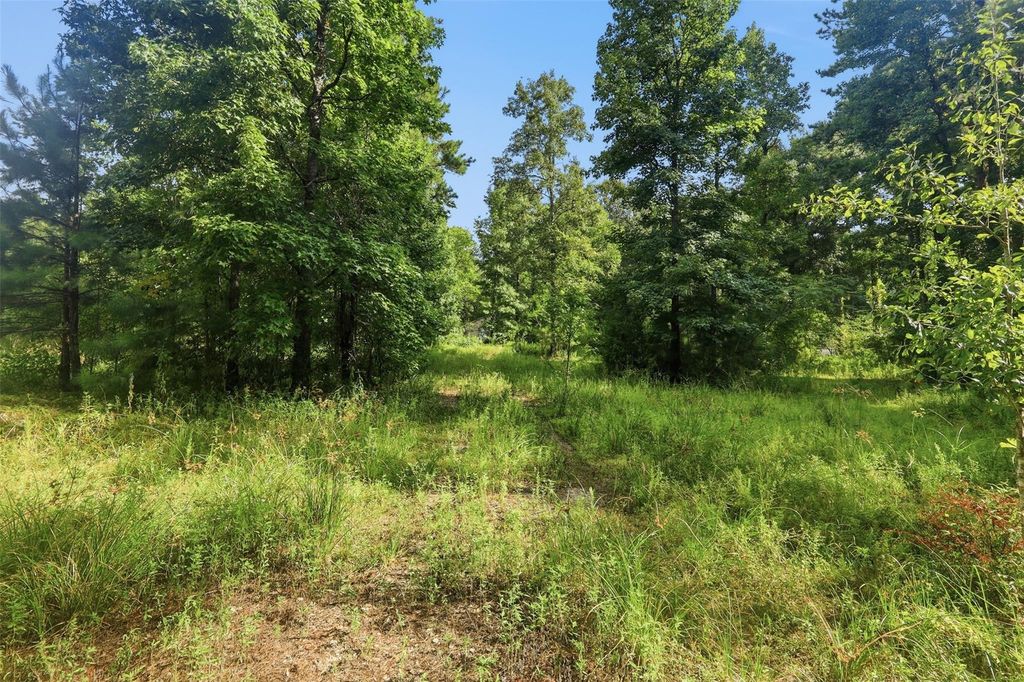 31577 Bohlssen Road, New Caney, TX 77357