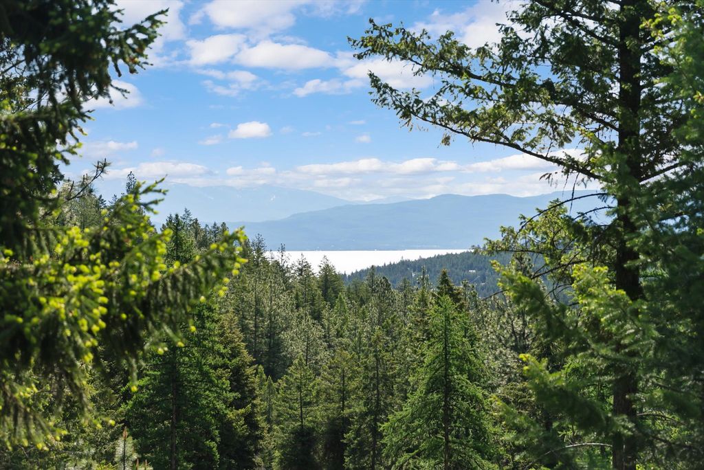 205 Muley Road, Lakeside, MT 59922 photo 21