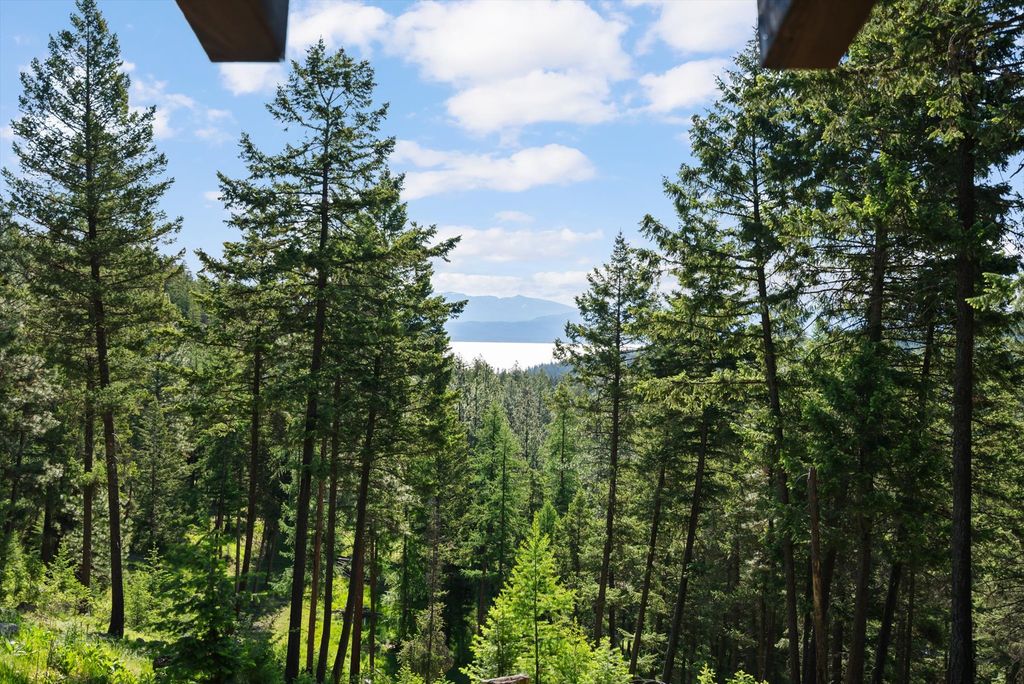 205 Muley Road, Lakeside, MT 59922 photo 3