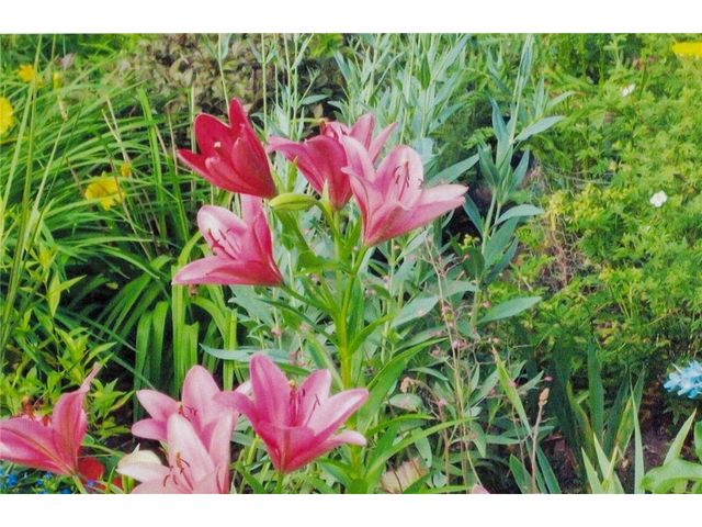 112 Elbert Drive, Rice Lake, WI 54868