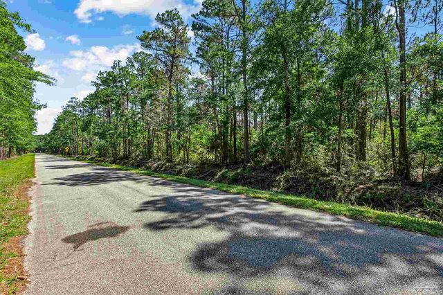 0000 Pearson Rd, Milton, FL 32583