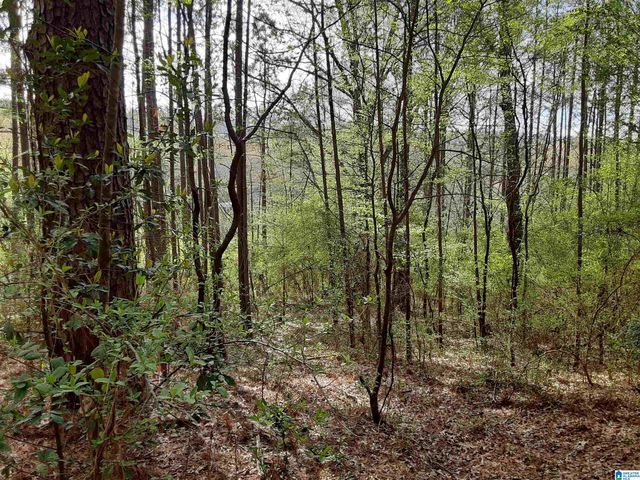 2001 CHENOOR ROAD, Birmingham, AL 35217