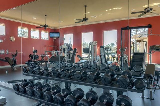 18302 Lazy Moss Lane, Spring, TX 77379