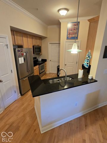 355 E Ohio Street 202, Indianapolis, IN 46204