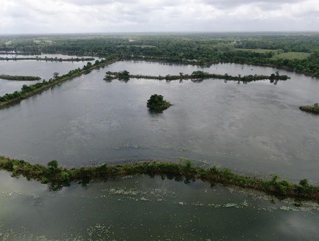 233 Twin Lakes Boulevard, West Columbia, TX 77486