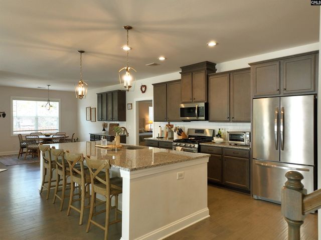 218 Chapin Brooke Court, Chapin, SC 29036