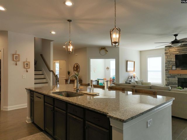 218 Chapin Brooke Court, Chapin, SC 29036