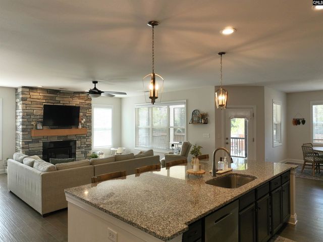 218 Chapin Brooke Court, Chapin, SC 29036