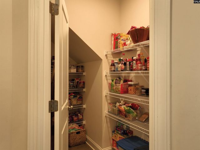 218 Chapin Brooke Court, Chapin, SC 29036