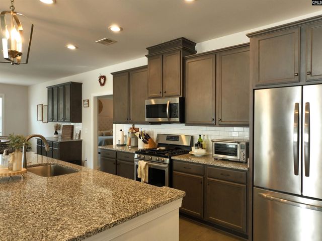 218 Chapin Brooke Court, Chapin, SC 29036