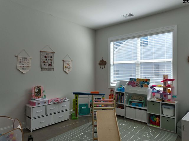 218 Chapin Brooke Court, Chapin, SC 29036