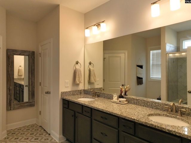 218 Chapin Brooke Court, Chapin, SC 29036