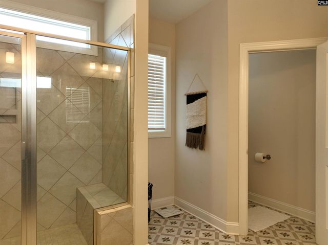 218 Chapin Brooke Court, Chapin, SC 29036