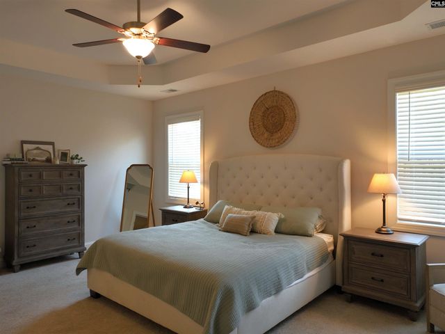 218 Chapin Brooke Court, Chapin, SC 29036