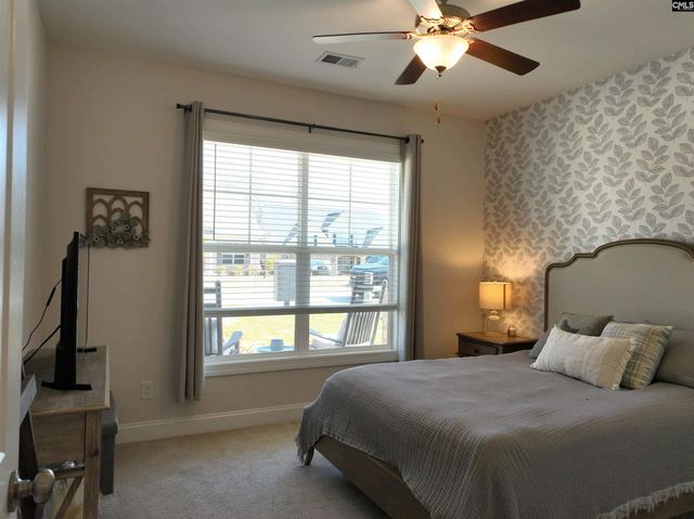 218 Chapin Brooke Court, Chapin, SC 29036