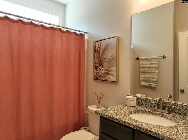 218 Chapin Brooke Court, Chapin, SC 29036