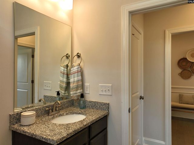 218 Chapin Brooke Court, Chapin, SC 29036