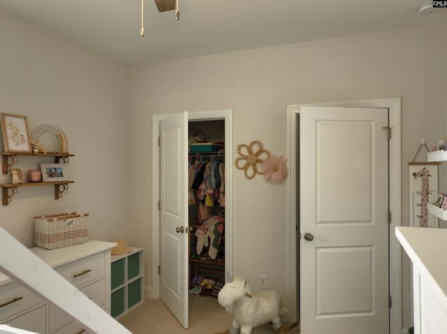 218 Chapin Brooke Court, Chapin, SC 29036