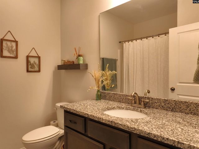 218 Chapin Brooke Court, Chapin, SC 29036