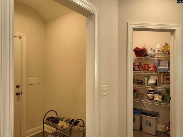 218 Chapin Brooke Court, Chapin, SC 29036