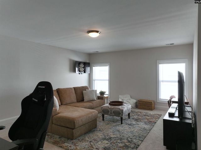 218 Chapin Brooke Court, Chapin, SC 29036